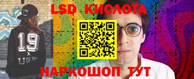 гидропоника Славянск-на-Кубани