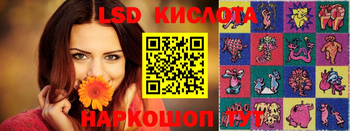 Лсд 25 экстази кислота  Вход с VPN  Ногинск  ЛСД экстази кислота 