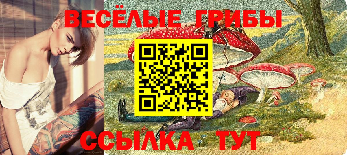 Галлюциногенные грибы Magic Shrooms Ногинск