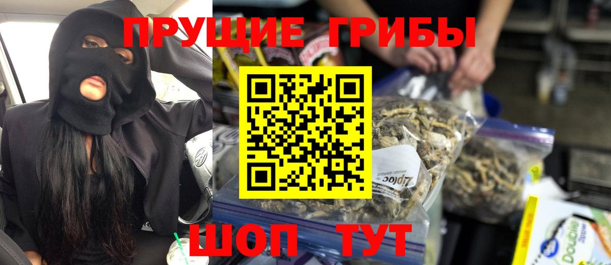 Ногинск  Галлюциногенные грибы Magic Shrooms  Вход с VPN 